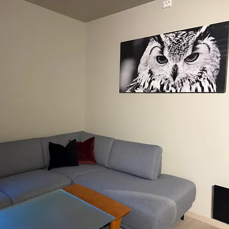 Cozy, New For Rent With Proximity To Beautiful Nature *